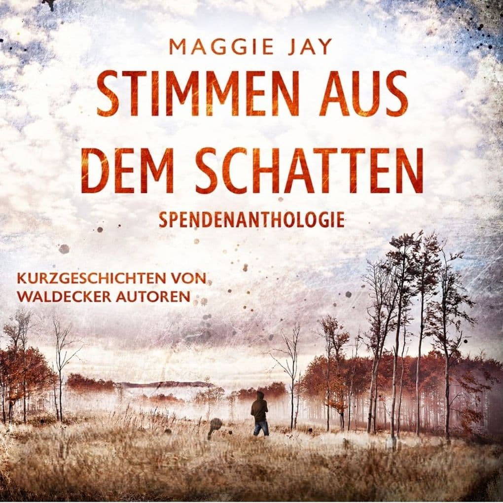 Stimmen aus dem Schatten: Spendenanthologie - Kurzgeschichten von Waldecker Autoren