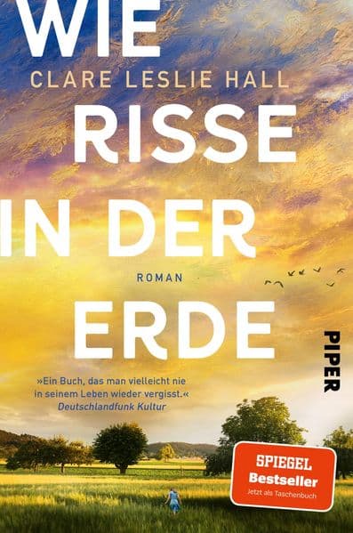 Wie Risse in der Erde: Roman | 'Ein Buch, das man vielleicht nie in seinem Leben wieder vergisst.' Deutschlandfunk Kultur