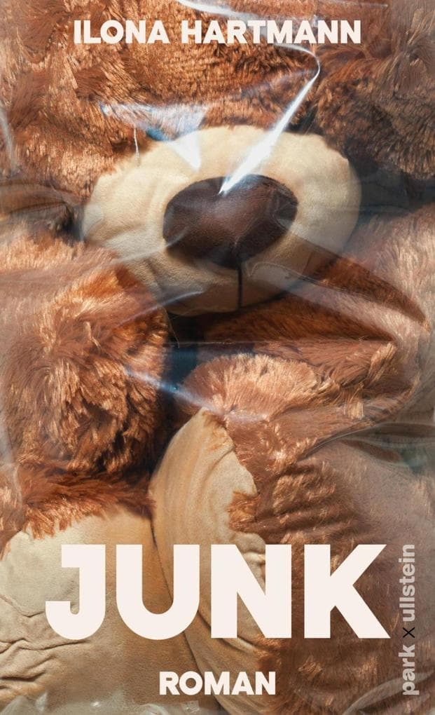 Junk: Roman