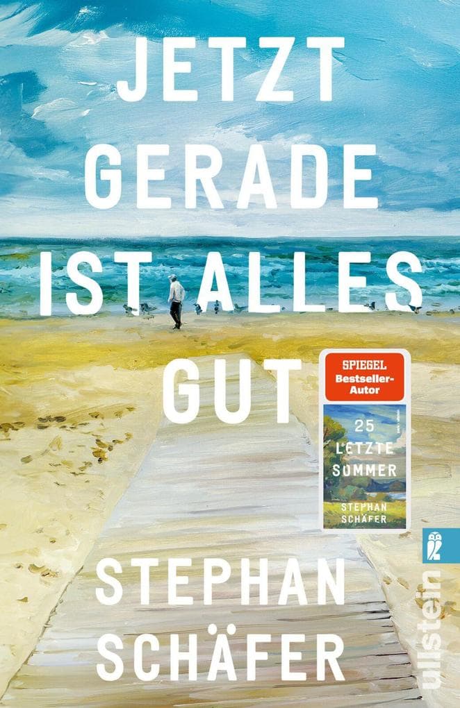 Jetzt gerade ist alles gut: Nach dem SPIEGEL-Bestseller "25 letzte Sommer" - der neue Roman von Erfolgsautor Stephan Schäfer