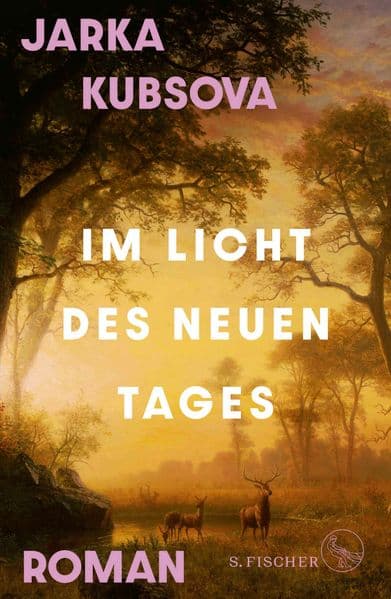 Im Licht des neuen Tages: Roman
