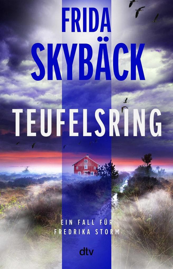 Teufelsring: Ein Fall für Fredrika Storm | Spannender Scandi-Crime: 'Frida Skybäck wird immer besser.' Mattias Edvardsson