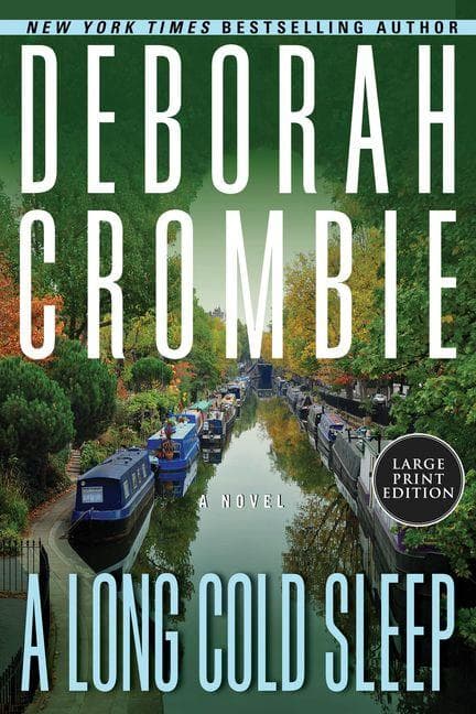 A Long Cold Sleep: A Novel (Large Print)