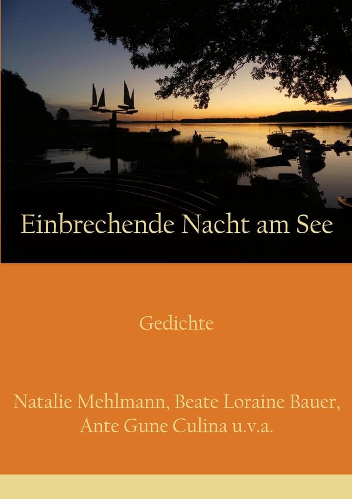 Einbrechende Nacht am See: Gedichte