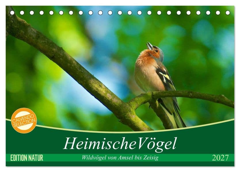 Heimische Vögel (Tischkalender 2027 DIN A5 quer), CALVENDO Monatskalender: Eine kleine Sammlung in Deutschland heimischer Vögel
