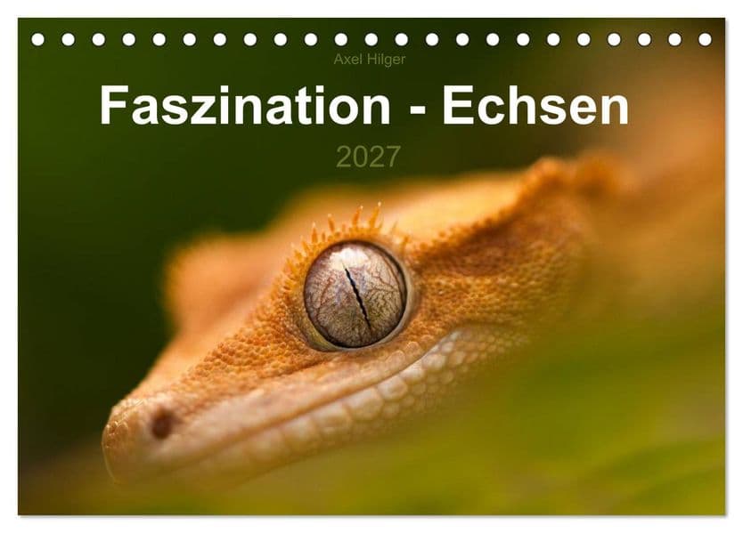 Faszination - Echsen (Tischkalender 2027 DIN A5 quer), CALVENDO Monatskalender: Wir staunen, wenn wir diese fremdartigen Wesen betrachten, die so wirken, als kämen sie aus einer anderen Welt.