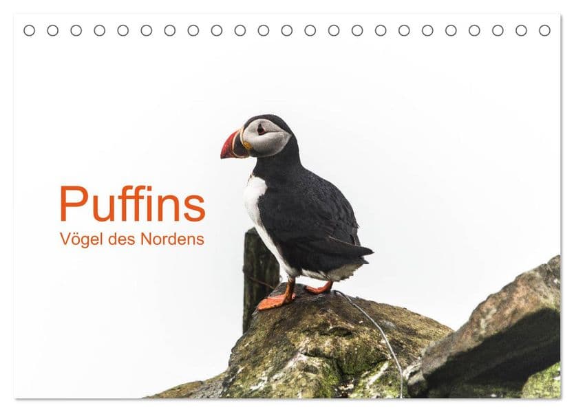 Puffins - Vögel des Nordens (Tischkalender 2027 DIN A5 quer), CALVENDO Monatskalender: Papagaeintaucher sind die arktischen Vögel, die der Kälte und dem Wind auf den Färöer Inseln und in anderen Gefilden trotzen.
