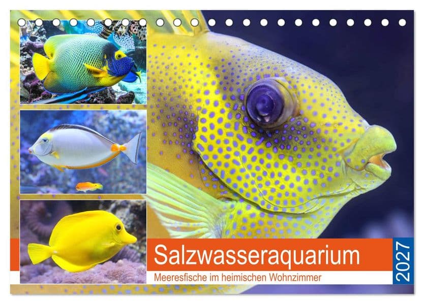 Salzwasseraquarium. Meeresfische im heimischen Wohnzimmer (Tischkalender 2027 DIN A5 quer), CALVENDO Monatskalender: Traumhaft schöne Fische im Meerwasseraquarium