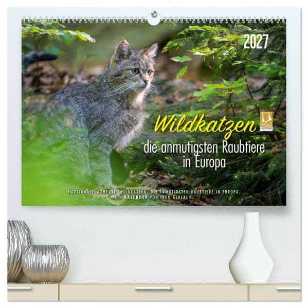 Wildkatzen - die anmutigsten Raubiere in Europa. (hochwertiger Premium Wandkalender 2027 DIN A2 quer), Kunstdruck in Hochglanz: Wunderschöne Fotos aus dem Leben unserer heimischen Wildkatze. Über die Jahreszeiten fotografiert. Mehr unter ingogerlach.com.