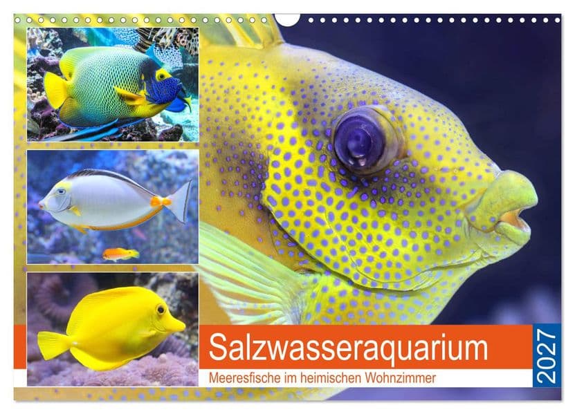 Salzwasseraquarium. Meeresfische im heimischen Wohnzimmer (Wandkalender 2027 DIN A3 quer), CALVENDO Monatskalender: Traumhaft schöne Fische im Meerwasseraquarium