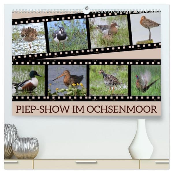 PIEP-SHOW im Ochsenmoor (hochwertiger Premium Wandkalender 2027 DIN A2 quer), Kunstdruck in Hochglanz: Das Fotografieren von Vögeln im Ochsenmoor kann sehr lohnend sein, besonders wenn du Geduld und das richtige Equipment mitbringst.