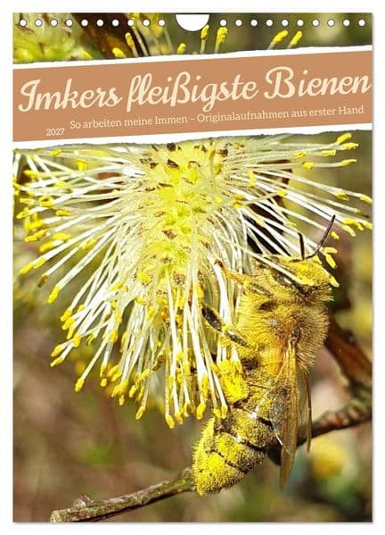 Imkers fleißigste Bienen - So arbeiten meine Immen - Originalaufnahmen aus erster Hand (Wandkalender 2027 DIN A4 hoch), CALVENDO Monatskalender: Echte Bienenmomente aus einem Jahr voller Leben. Vom ersten Blütenbesuch im Frühling bis zu den letzten Trachttagen im Herbst zeigt jede Aufnahme den Fleiß, die Schönheit und die Ruhe dieser faszinierenden Insektenwelt.
