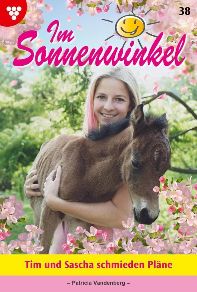Tim und Sascha schmieden Pläne: Im Sonnenwinkel 38 - Familienroman