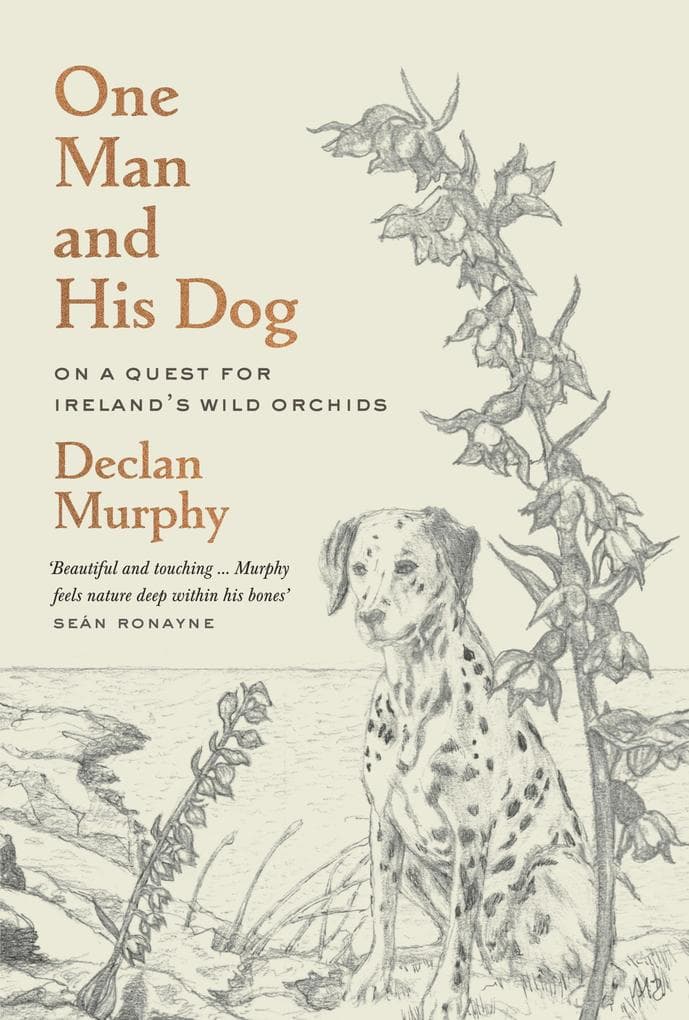 One Man and his Dog: On a Quest for the Wild Irish Orchids