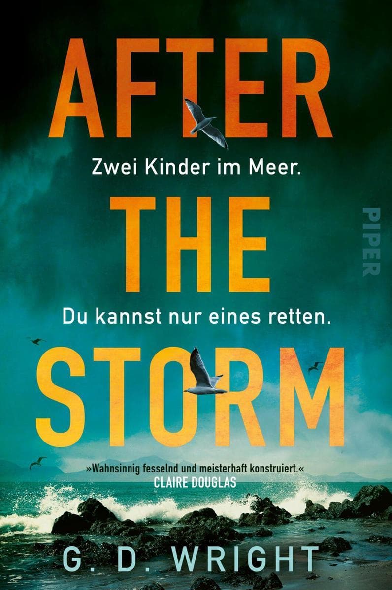 After the Storm - Zwei Kinder im Meer. Du kannst nur eines retten.: Thriller | Packendes, atmosphärisches Familiendrama an Englands Küste