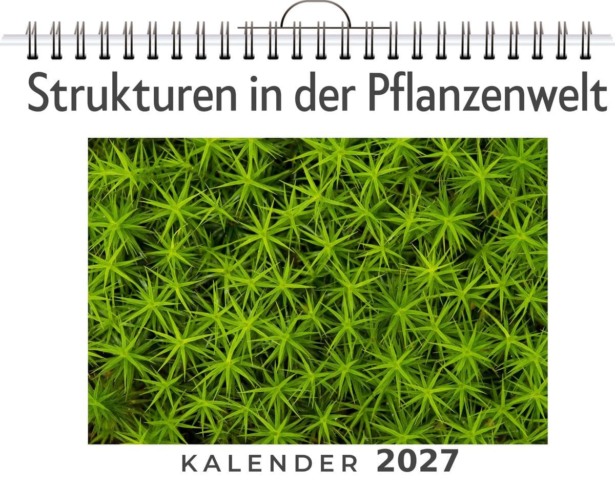 Strukturen in der Pflanzenwelt: (Wandkalender 2027, Kalender DIN A4 quer, Monatskalender im Querformat mit Kalendarium, das perfekte Geschenk)