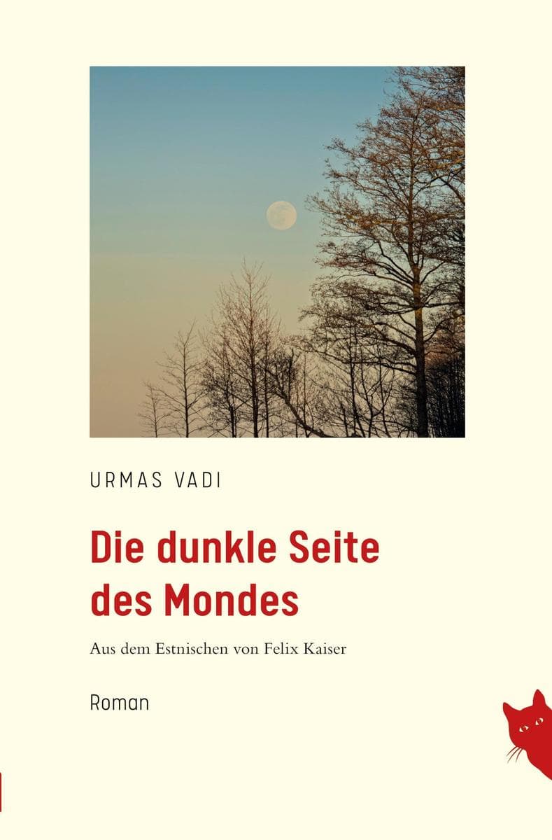 Die dunkle Seite des Mondes