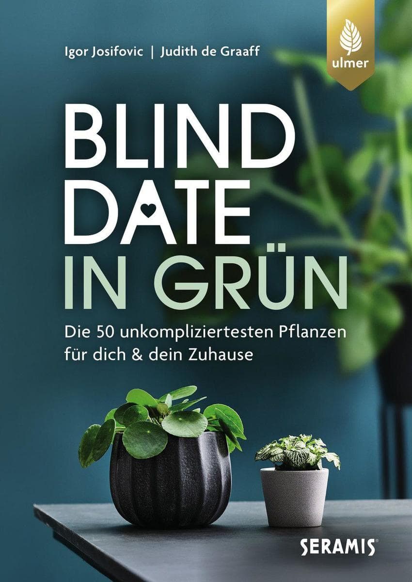 Blinddate in Grün: Die 50 unkompliziertesten Pflanzen für dich und dein Zuhause