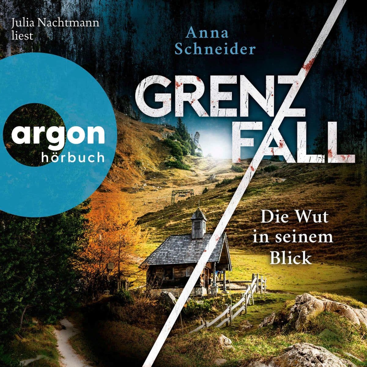 Grenzfall Die Wut in seinem Blick: Die grenzüberschreitende Bestseller-Serie zwischen Deutschland & Österreich