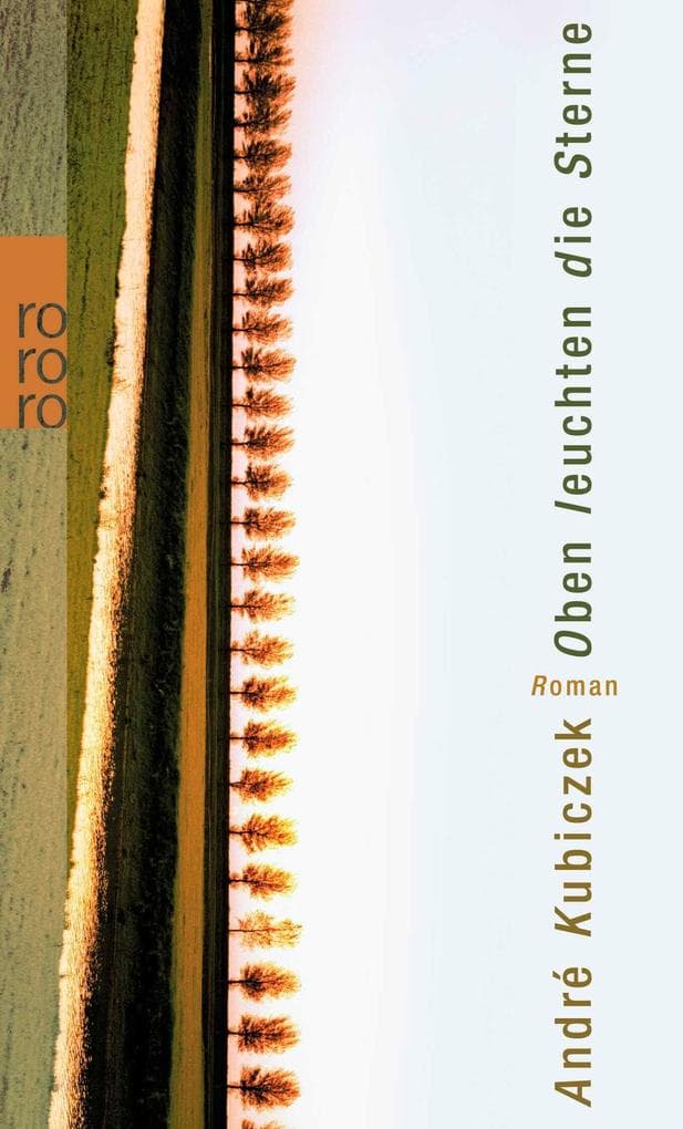 Oben leuchten die Sterne: Roman. Ausgezeichnet mit dem Candide Preis des Literarischen Vereins Minden 2007