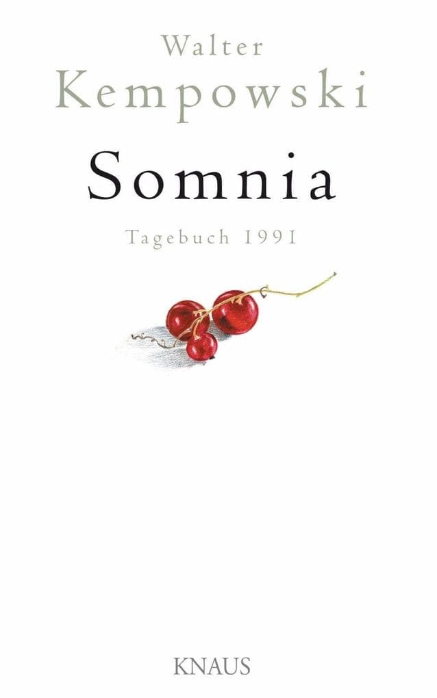 Somnia: Tagebuch 1991
