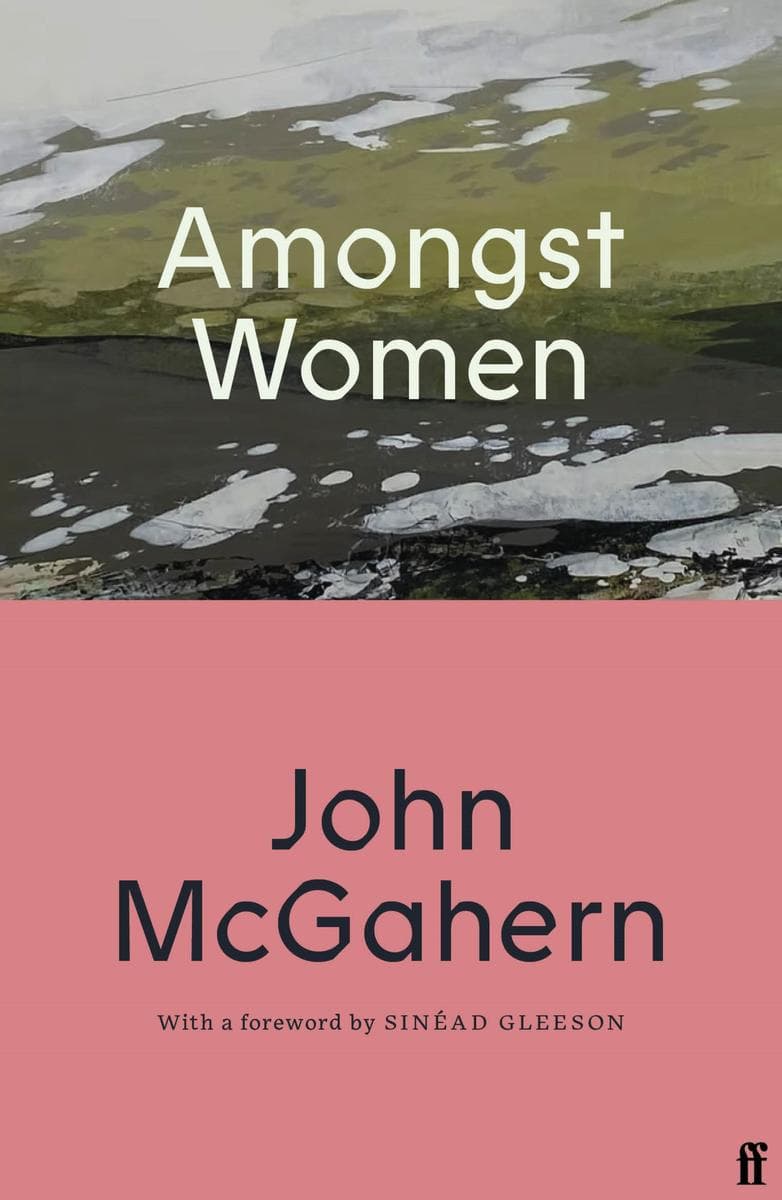 Amongst Women: Cillian Murphy: 'One of the greatest Irish writers'